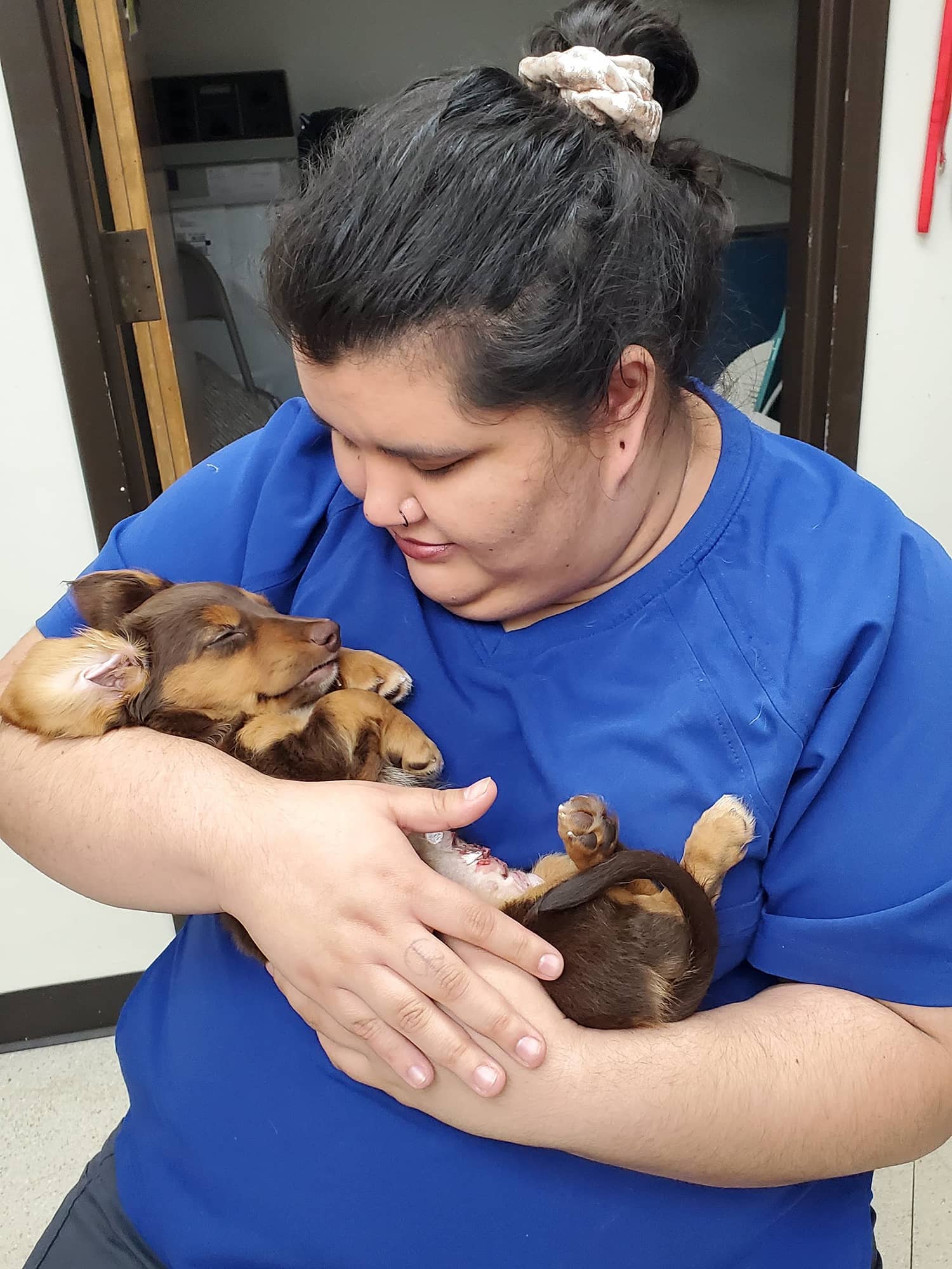 Staff member holding sleeping dog