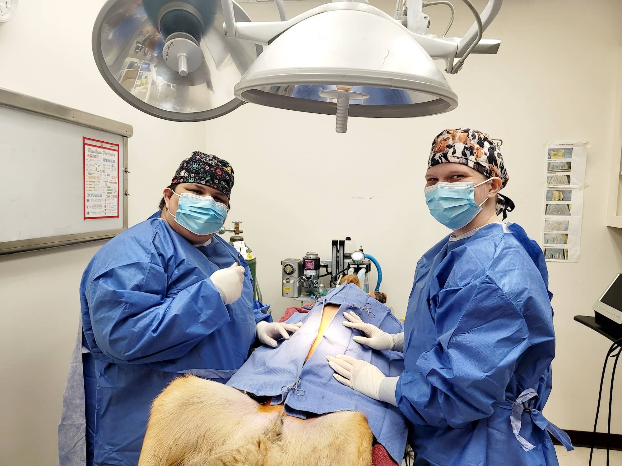 Southside Veterinary Clinic Broken Arrow Surgery vet staff doing surgery of a pet