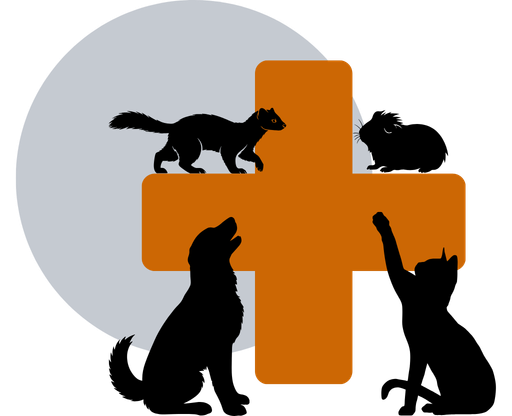 pets veterinary care icon