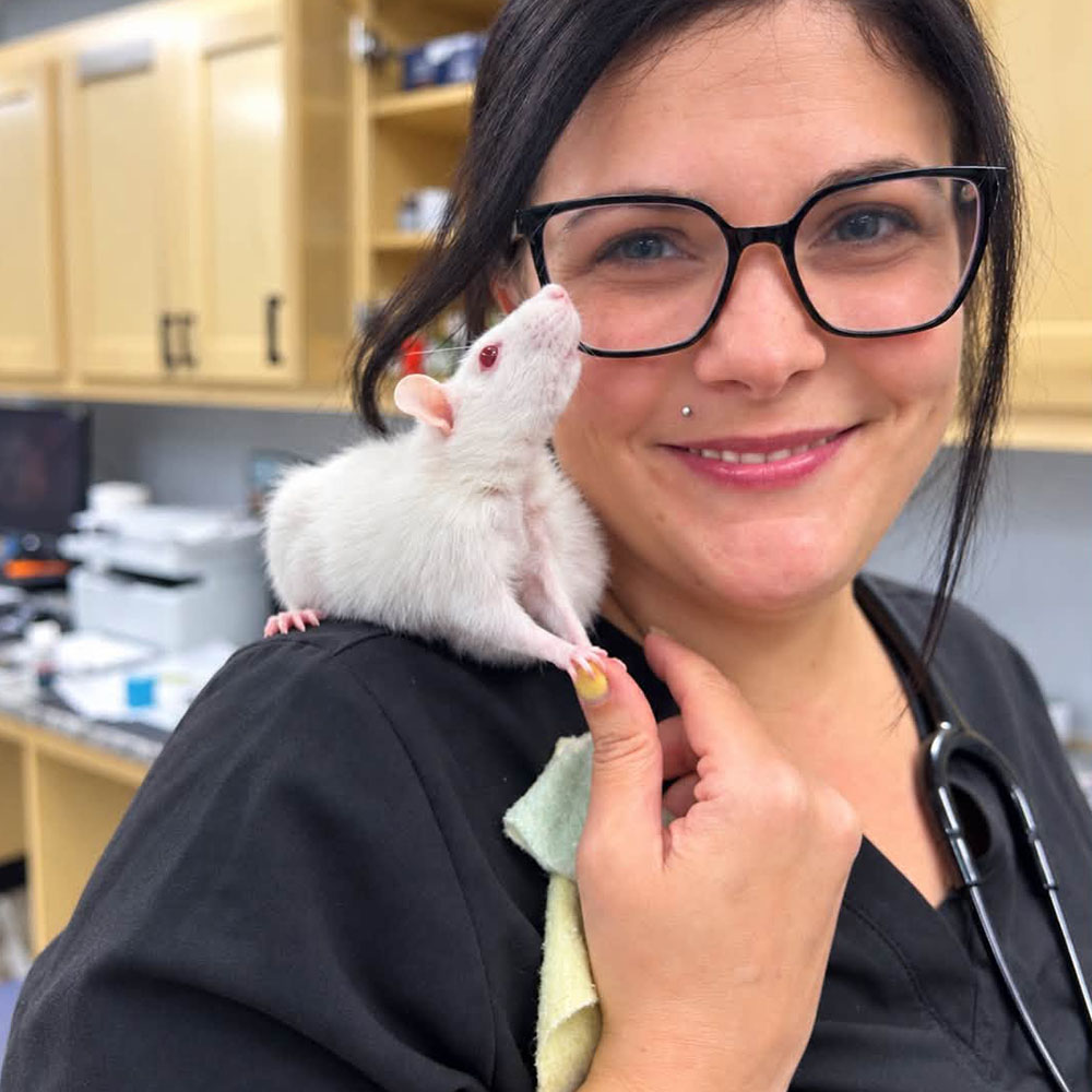 Tech With Rat